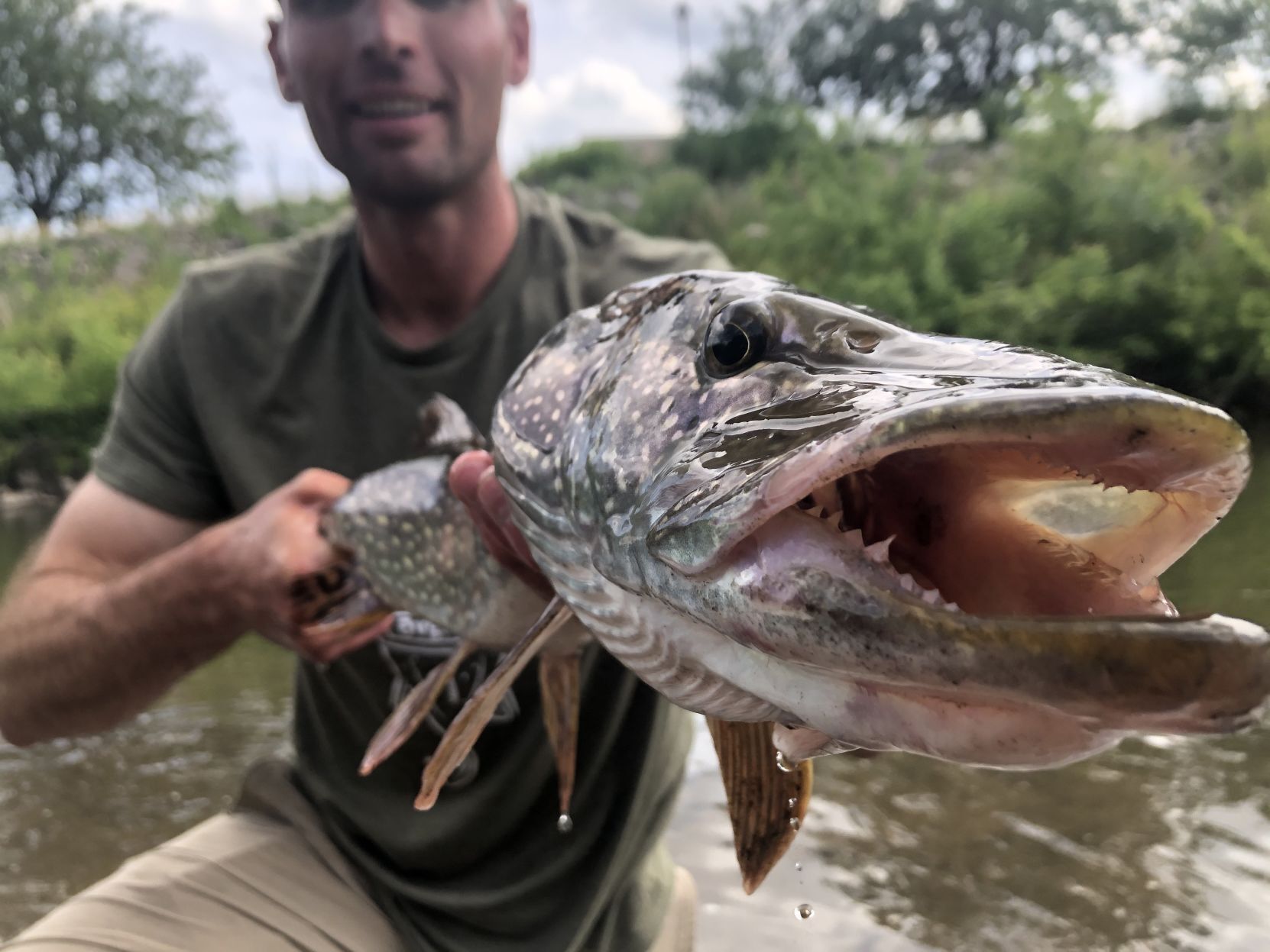Pike